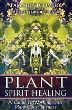 Plant Spirit Healing